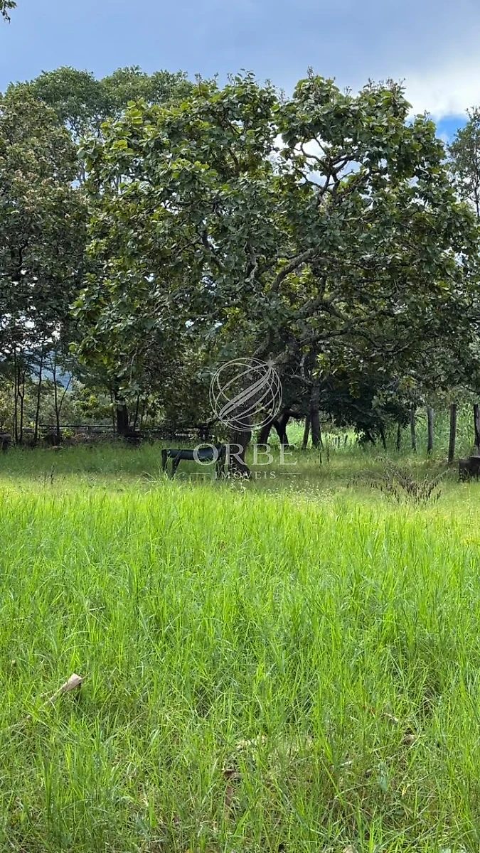 Imóvel rural em Área Rural de Niquelândia, Niquelândia, foto 3