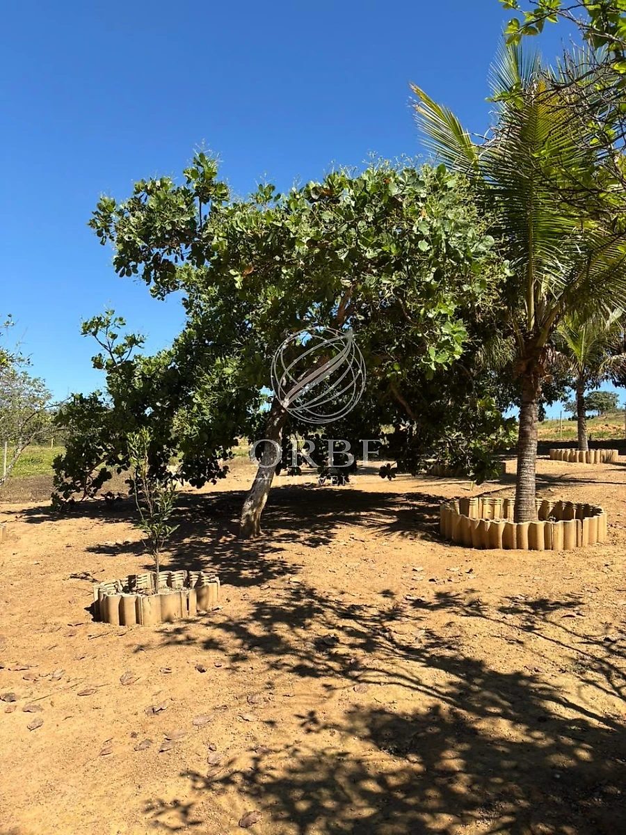 Imóvel rural em Área Rural, Corumbá de Goiás, foto 6