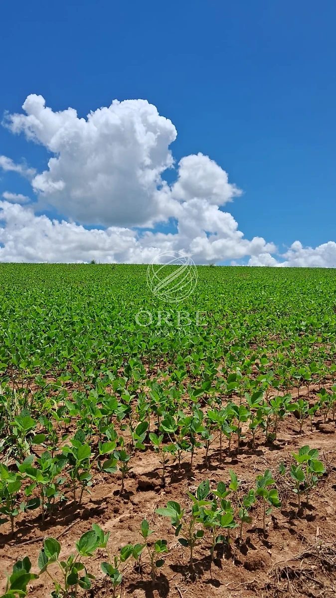 Imóvel rural em Área Rural de Silvânia, Silvânia, foto 3
