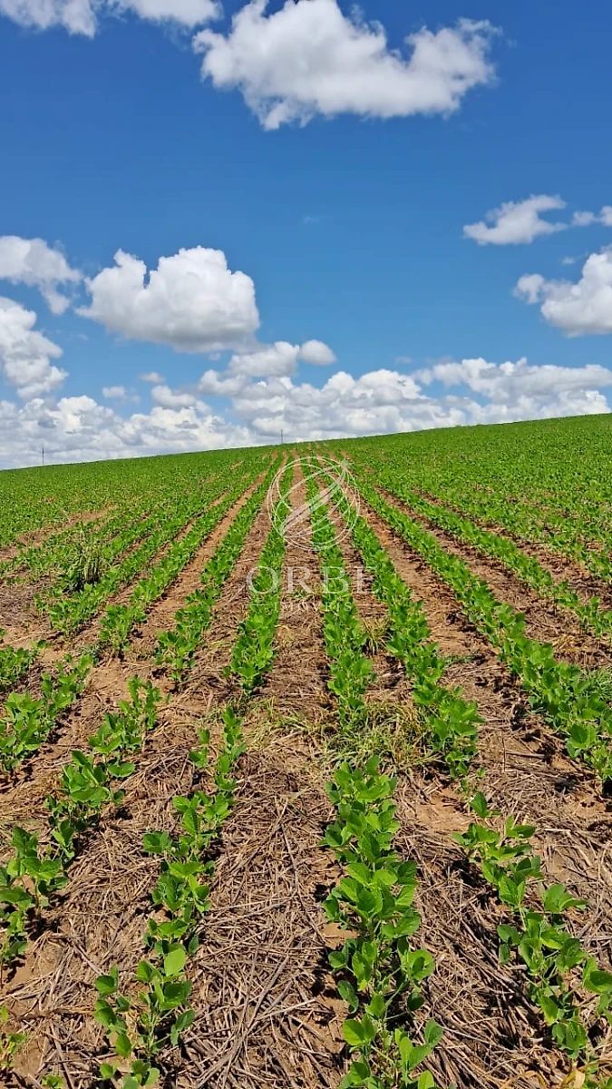 Imóvel rural em Área Rural de Silvânia, Silvânia, foto 5