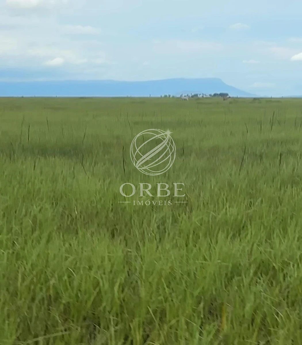 Imóvel rural em Área Rural, Natividade, foto 2