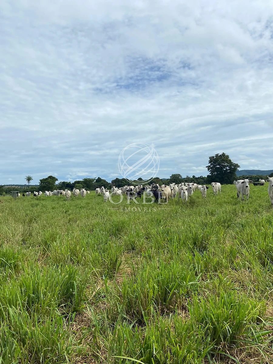 Imóvel rural em Área Rural, Monte Alegre de Goiás, foto 3