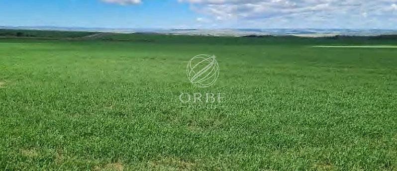 Imóvel rural em Área Rural, São João d'Aliança, foto 7