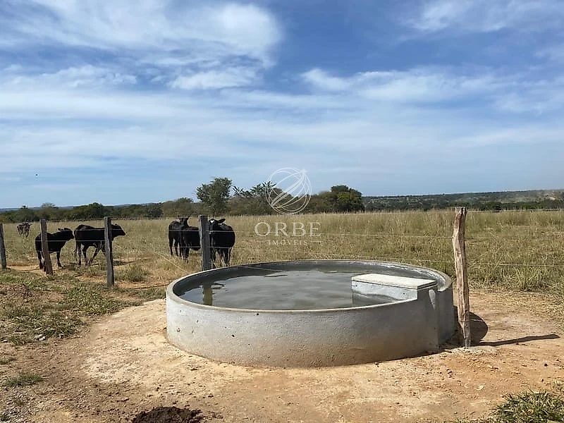 Imóvel rural em Área Rural, Monte Alegre de Goiás, foto 2