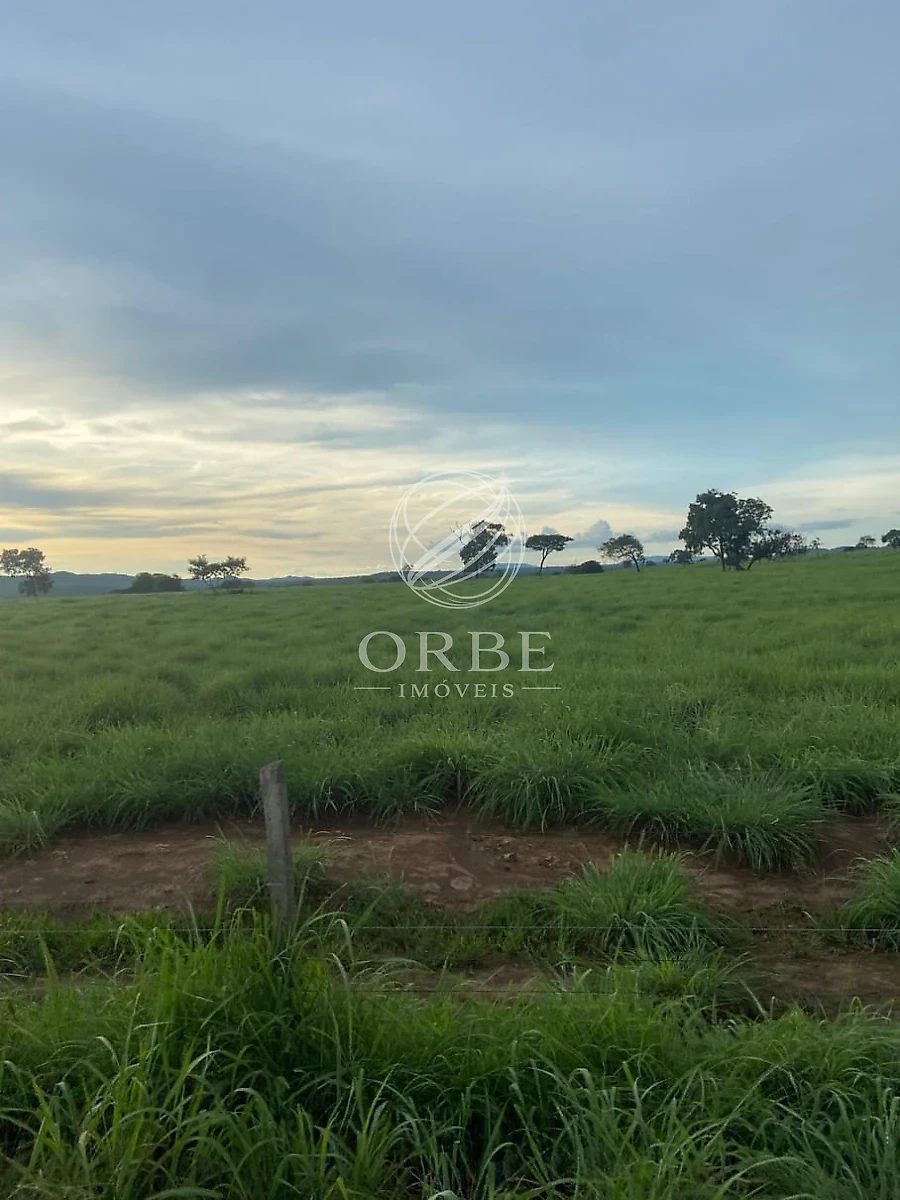Imóvel rural em Área Rural, Monte Alegre de Goiás, foto 5