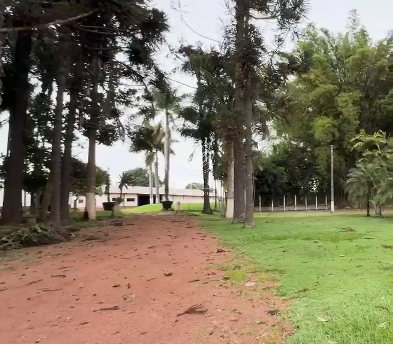 Imóvel rural em Área Rural, São João d'Aliança, foto 12