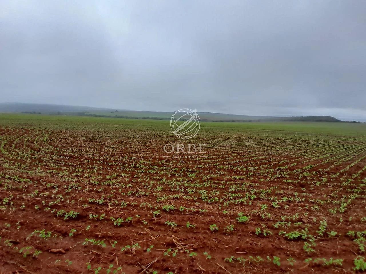 Imóvel rural em Área Rural, São João d'Aliança, foto 11