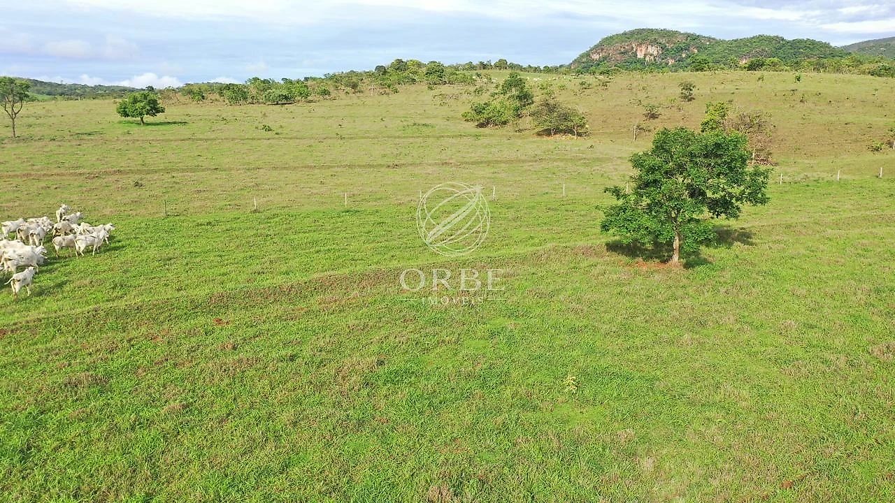 Imóvel rural em Centro, Padre Bernardo, foto 12