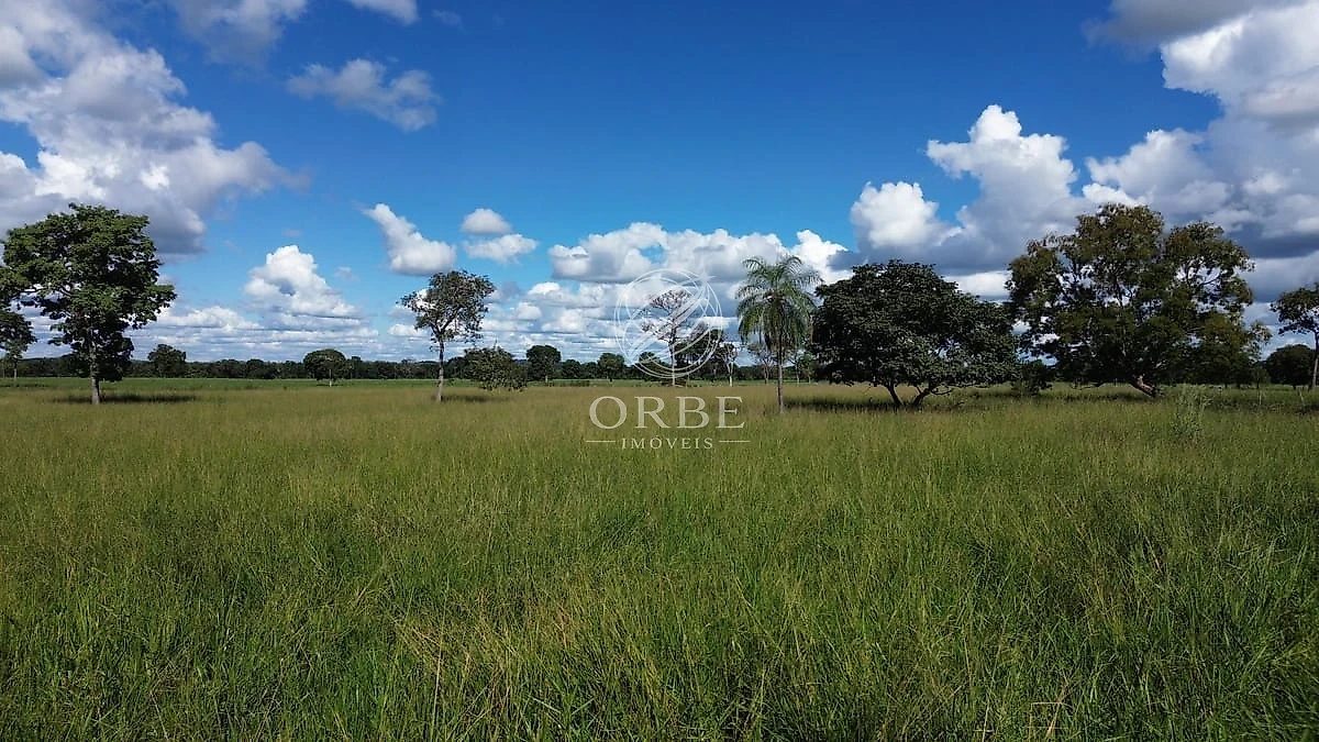 Imóvel rural em Área Rural, Monte Alegre de Goiás, foto 7