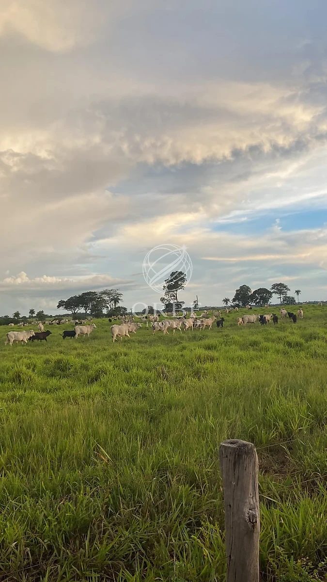 Imóvel rural em Área Rural, Monte Alegre de Goiás, foto 4