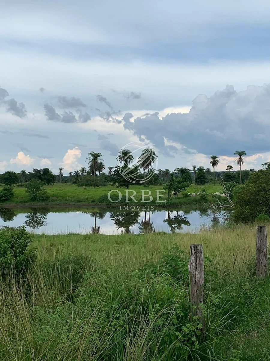 Imóvel rural em Plano Diretor Norte, Palmas, foto 2