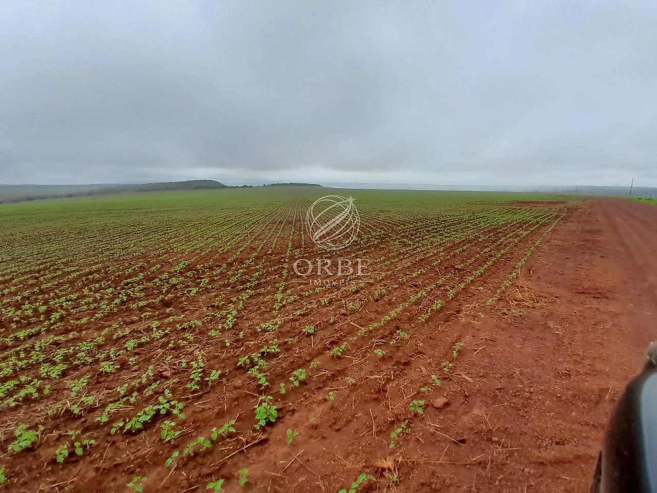 Imóvel rural em Área Rural, São João d'Aliança, foto 12
