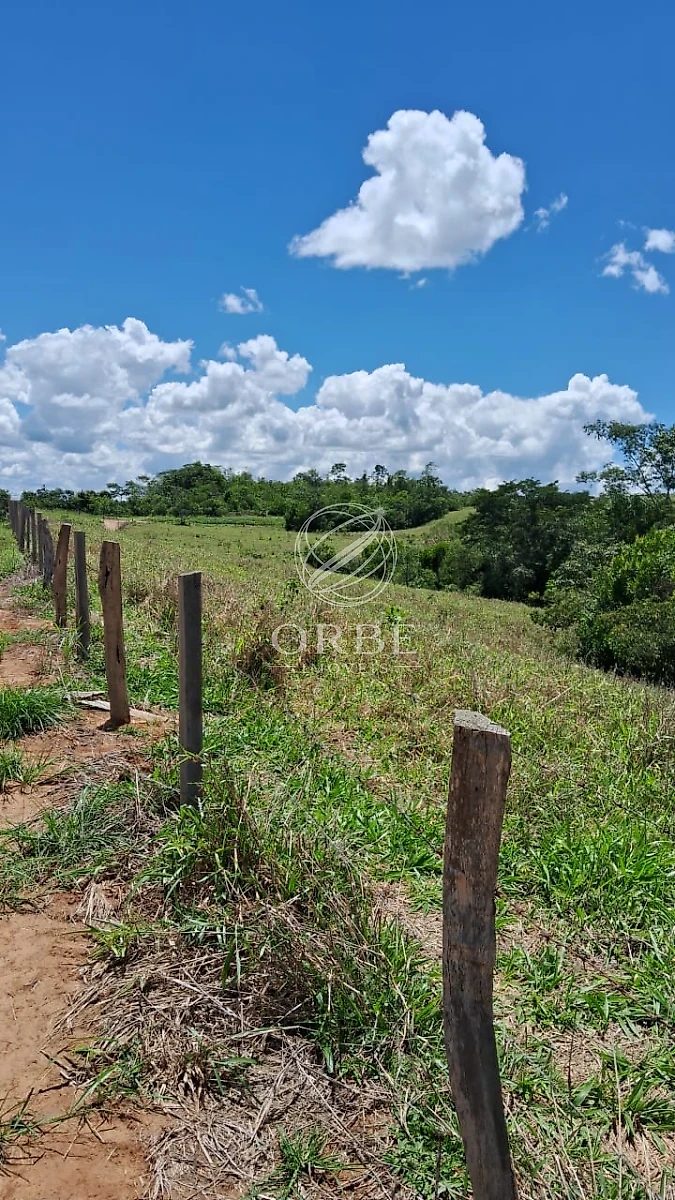 Imóvel rural em Área Rural de Silvânia, Silvânia, foto 9