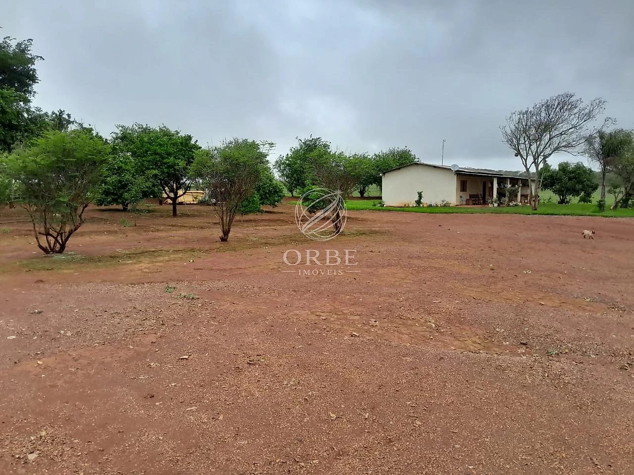 Imóvel rural em Área Rural, São João d'Aliança, foto 8