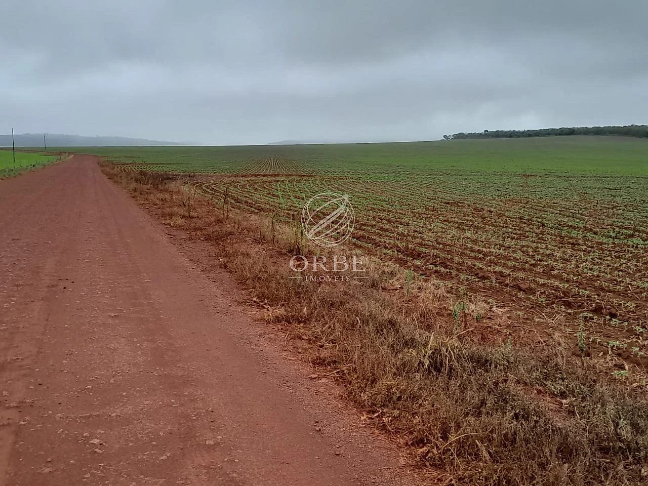 Imóvel rural em Área Rural, São João d'Aliança, foto 3