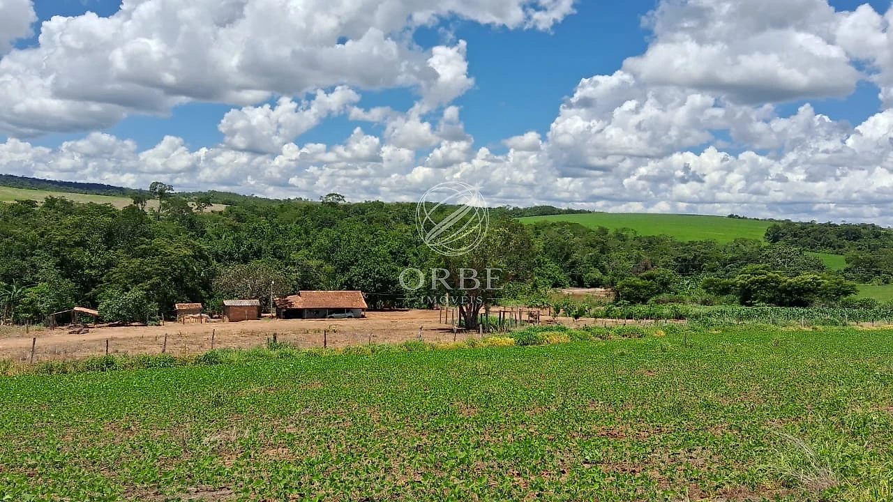 Imóvel rural em Área Rural de Silvânia, Silvânia, foto 10