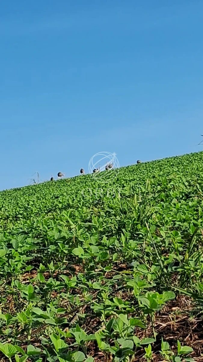 Imóvel rural em Área Rural de Silvânia, Silvânia, foto 8