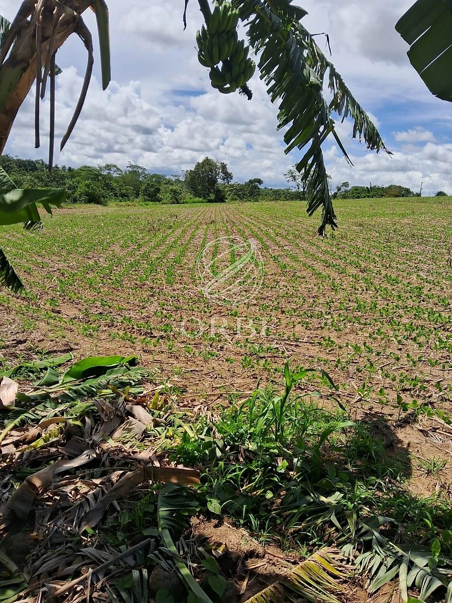 Imóvel rural em Área Rural de Silvânia, Silvânia, foto 4