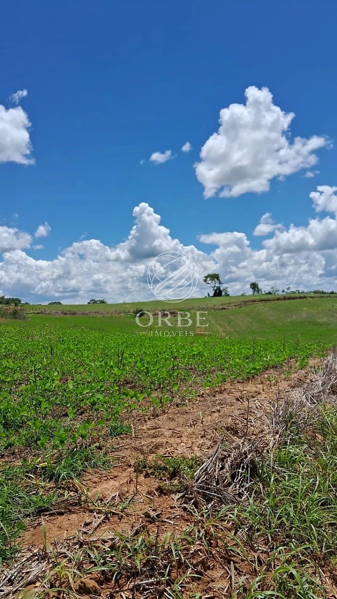 Imóvel rural em Área Rural de Silvânia, Silvânia, foto 2