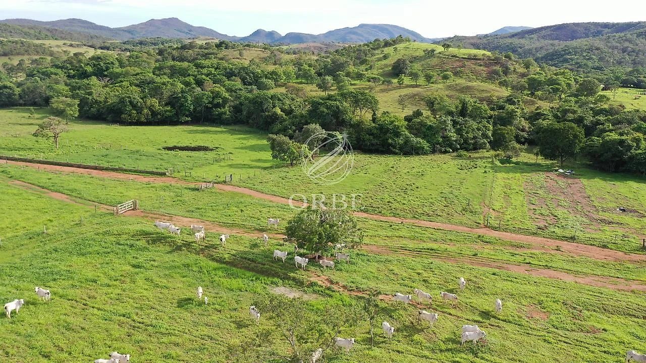 Imóvel rural em Centro, Padre Bernardo, foto 5
