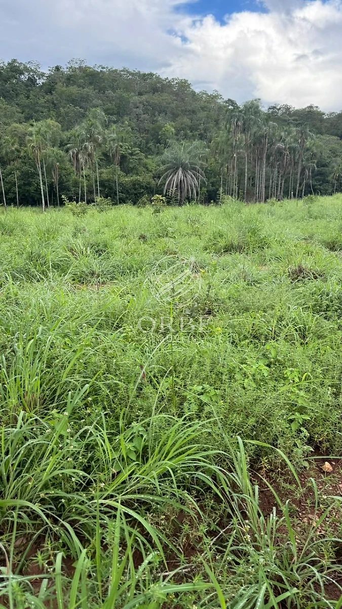 Imóvel rural em Área Rural de Niquelândia, Niquelândia, foto 8