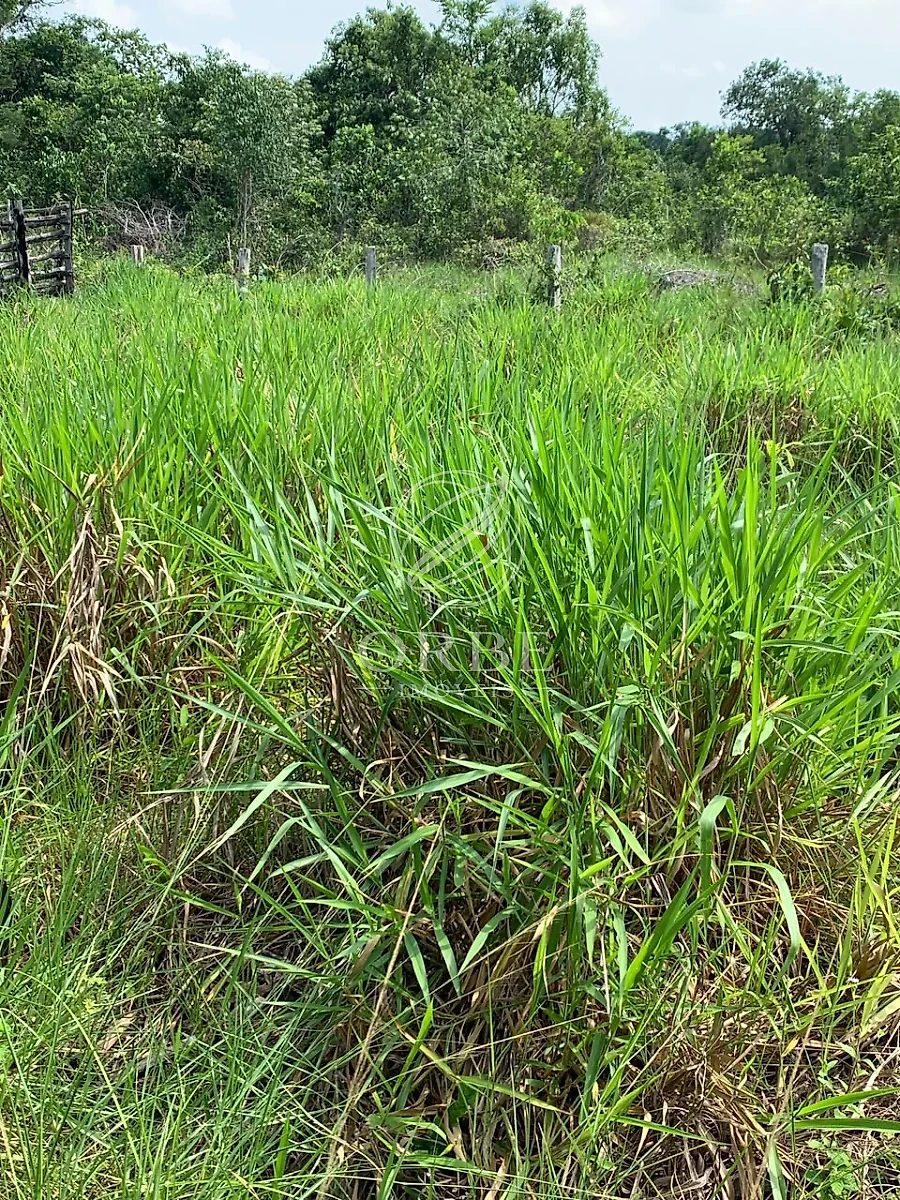 Imóvel rural em Plano Diretor Norte, Palmas, foto 5