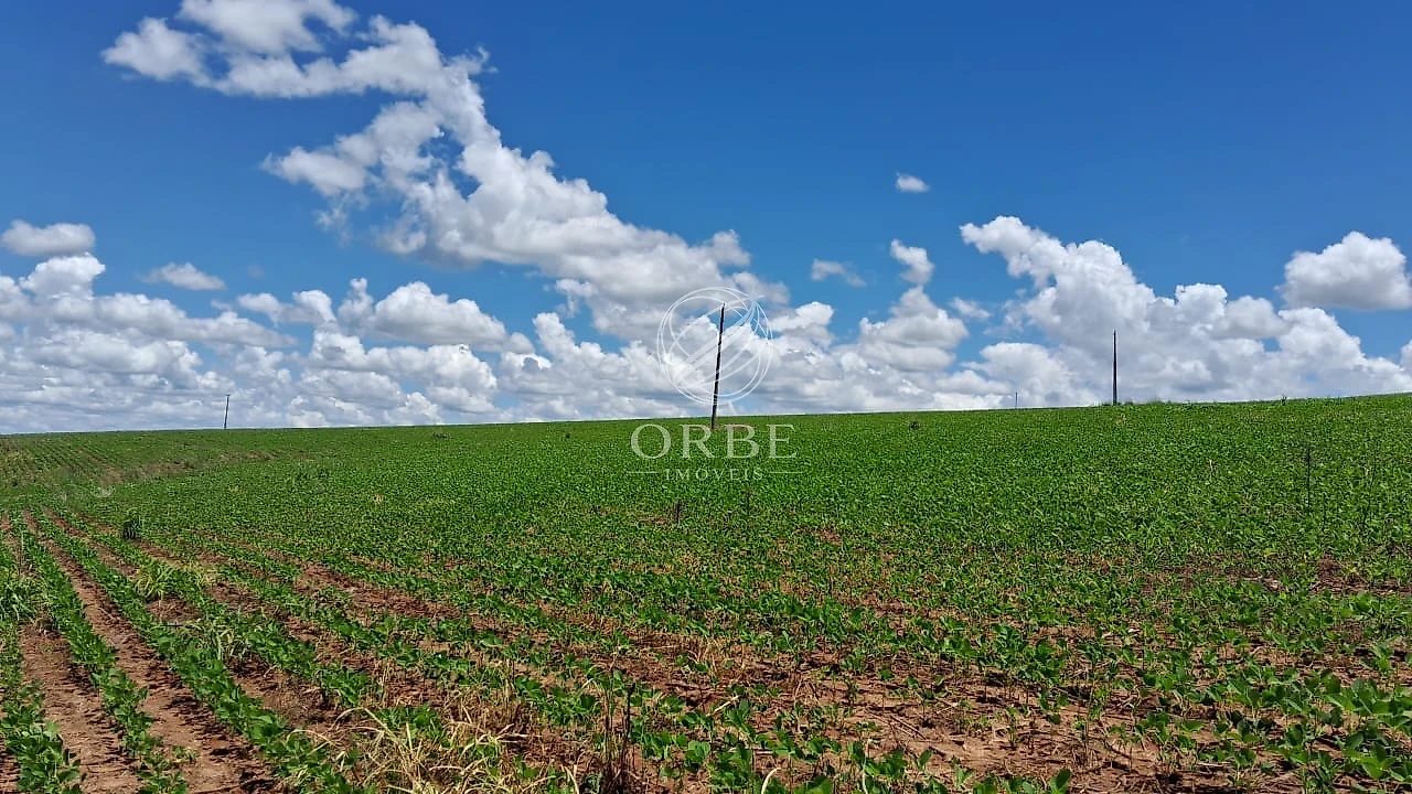 Imóvel rural em Área Rural de Silvânia, Silvânia, foto 7