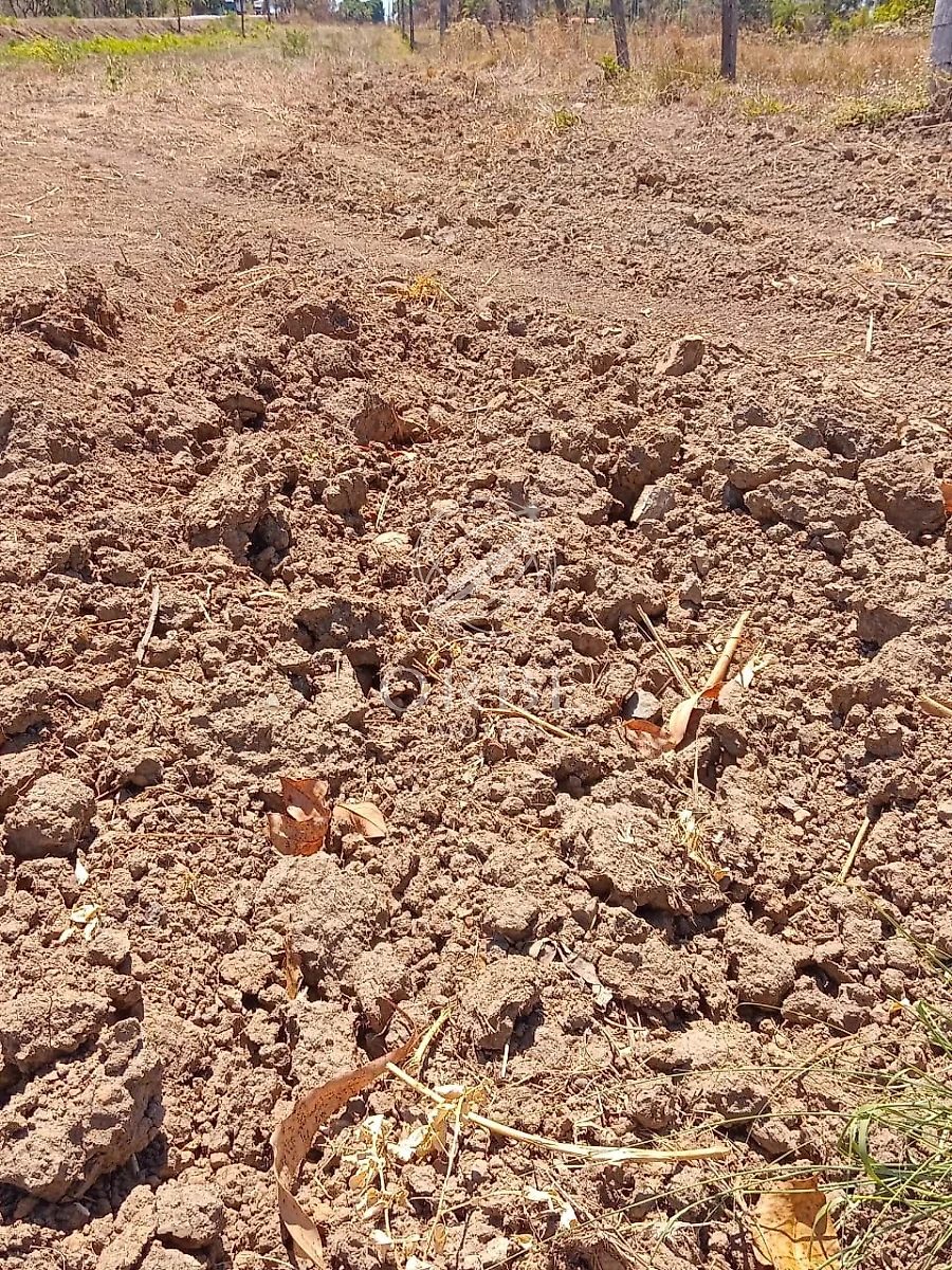 Imóvel rural em Plano Diretor Norte, Palmas, foto 4
