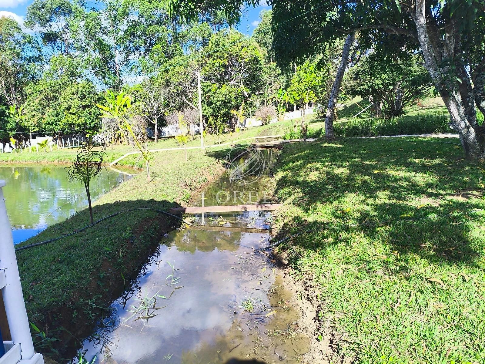 Imóvel rural em Área Rural de Anápolis, Anápolis, foto 9