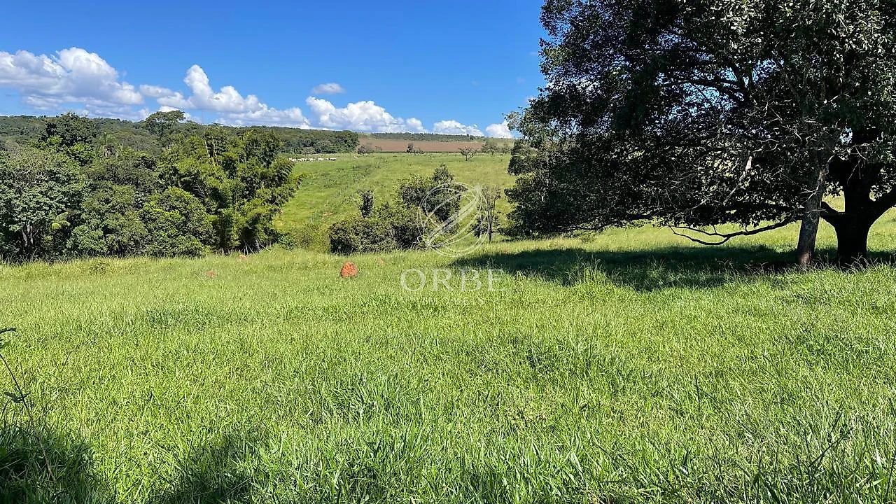 Imóvel rural em Área Rural de Anápolis, Anápolis, foto 11