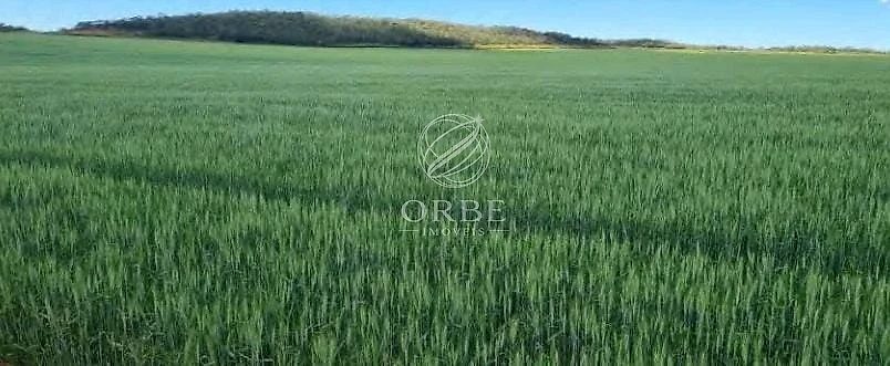 Imóvel rural em Área Rural, São João d'Aliança, foto 2