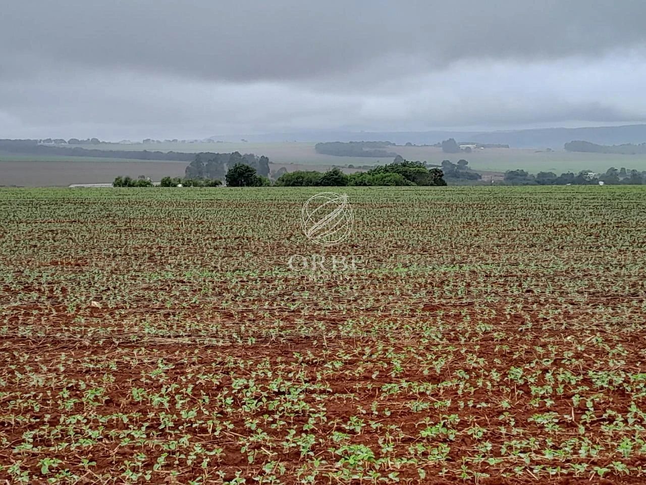 Imóvel rural em Área Rural, São João d'Aliança, foto 4